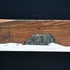Wood2