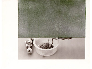 Rs-195-ppr