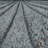 Copy__2__of_jn120x80126