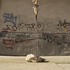 Sean_baker_19