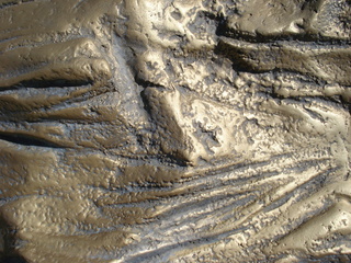 bronzed bead, detail,Philosophy of Time Travel