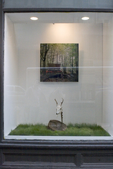 Skull_2009_installation_nataliya_gosselin