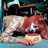 Cao_fei__rabid_dog__video__2002__8mins