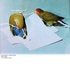 Lovebirdsslide