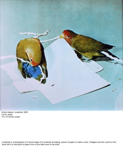 Lovebirdsslide