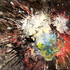 Color3of3lowres