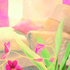 M_ridienne_aux_tulipes_