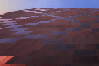   Detail of No Man\'s Land (Source of Friction: Effects of danger and exertion),Chris Barnard