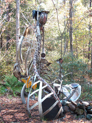 01_cycles_of_life