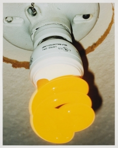 Youngblood_lightbulbsm