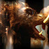 Mwcampfirestill6