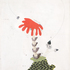 Colum_enneaphyllis_copy