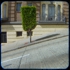 Treeshape
