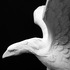 _cid_3349271390_20073803