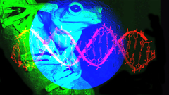 Planet_frog_dna_10