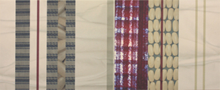 Regimen 12-09,VALERIE HARING