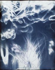 Untitled ,DANILLE MC CULLOUGH