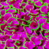 There-detail