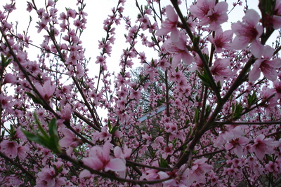 Dsc05063