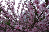 Dsc05063