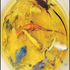 Frog_lizard_soup_5-27_22