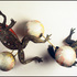 Christy_rupp-frogs_and_ozone