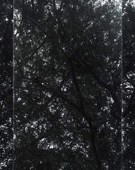 Untitled (Sheats-Goldstein House, #08) ,Luisa Lambri