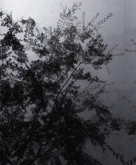 Untitled (Sheats-Goldstein House, #38),Luisa Lambri