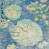 Waterlilly2