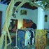 Dscf4763