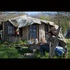 Modernwildlives4