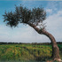 Yxz-pho-6004