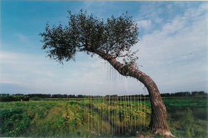 Yxz-pho-6004