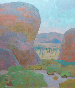 Nearandfarjoshuatree
