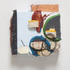 2009_surveyor