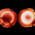 Pairedweb