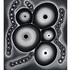 Microplate1