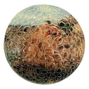 Cynthia_van_de_loo_-_emerge
