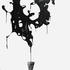 Nano-pic-093_copy