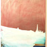 Rose_snow_2