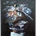 The-glaucous-springs-2010