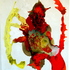 Fox_140x100