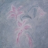 Lilies