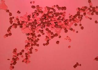 Untitled (pink),Poorna Rajpal