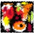 Holi_riples_small_size_final