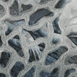 Cynthia_van_de_loo_-_creation_1