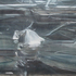 Detail_lead_content_0