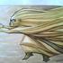 Wind
