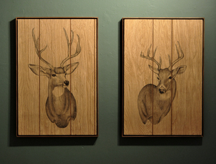 Whitetail Deer,Liz Young
