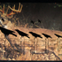Deertargetbird-small